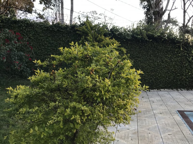 Chácara à venda Parelheiros com 1500m² e 2 quartos por R$ 350.000 - 626772247-e1a8407a-c71b-4fb6-9989-b6b09b600aaa.jpeg