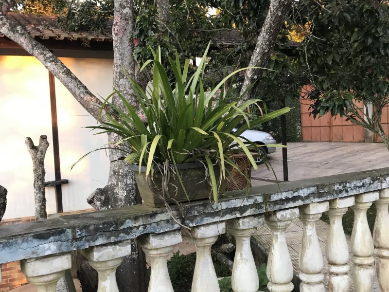 Chácara à venda Parelheiros com 1500m² e 2 quartos por R$ 350.000 - 658633875-9dadd6a3-ffec-4f95-b83d-230b02481078.jpeg