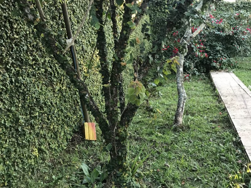 Chácara à venda Parelheiros com 1500m² e 2 quartos por R$ 350.000 - 731596748-9c256b7b-bc25-438b-8bb7-1588d43bd62f.jpeg