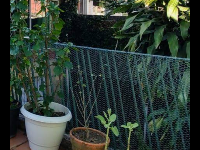 Casa à venda Jardim Nomura com 300m² e 7 quartos por R$ 980.000 - 1466004842-screenshot-20210621-0835552.png