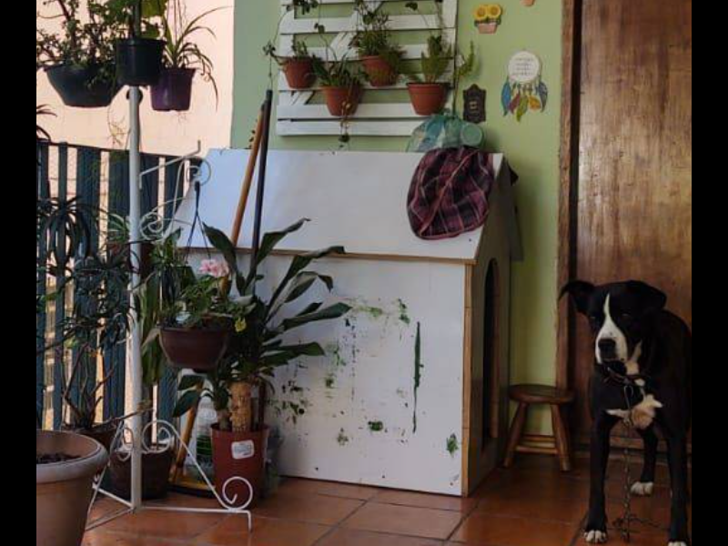 Casa à venda Jardim Nomura com 300m² e 7 quartos por R$ 980.000 - 1516500415-screenshot-20210621-0831403.png