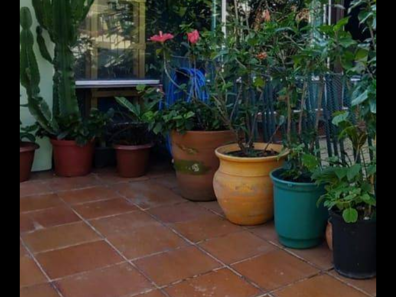 Casa à venda Jardim Nomura com 300m² e 7 quartos por R$ 980.000 - 226744810-screenshot-20210621-0835442.png