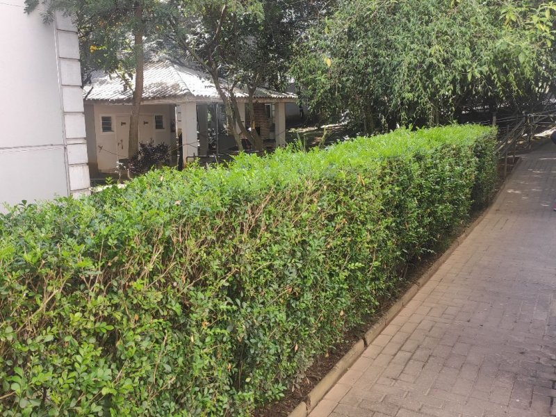 Apartamento à venda Colônia (Zona Leste) com 47m² e 2 quartos por R$ 219.000 - 779132796-36c20b7a-f5f4-4db4-858c-7d3510062aa8.jpg
