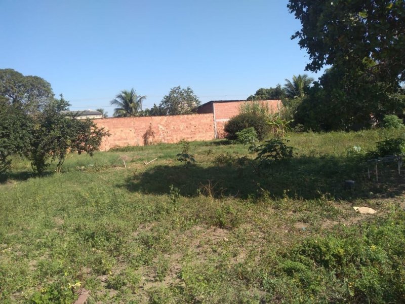 Terreno à venda Parque São Silvestre com 525m² e 1 quarto por R$ 70.000 - 38056946-de44898f-0f61-410b-8d37-bb438cc0e1b7.jpg