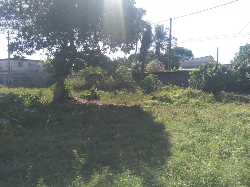 Terreno à venda Parque São Silvestre com 525m² e 1 quarto por R$ 70.000 - 562447349-adad50f6-40a4-420e-af17-c5354b6d045f.jpg