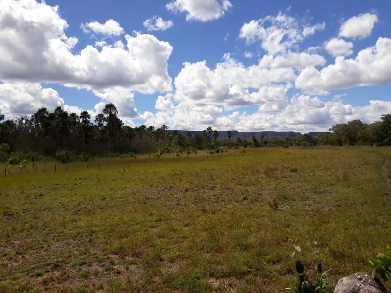 Fazenda à venda Centro com 3843m² e 2 quartos por R$ 9.576 - 20674521-img-20210518-wa0000.jpg