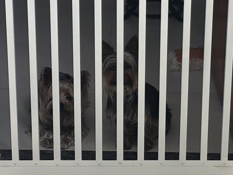 Apartamento à venda Ponta de Campina com 77m² e 2 quartos por R$ 350.000 - 604656901-37eea67e-3958-4e7f-bd31-aedb8036c956.jpeg