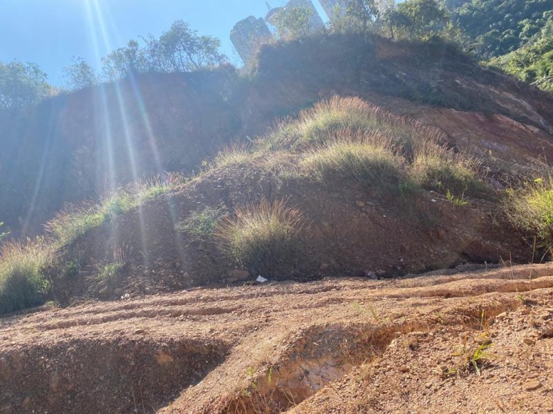 Terreno à venda Vl. Castelo com 1000m² e 1 quarto por R$ 1.390.000 - 768282133-d2bc9e81-aa23-459d-b811-2f559d4dcbcd.jpeg