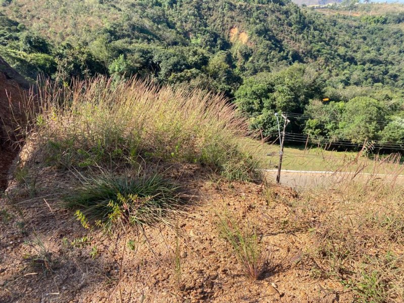 Terreno à venda Vl. Castelo com 1000m² e 1 quarto por R$ 1.390.000 - 816131641-5e5bc6e5-d421-4eeb-bcc3-0260b9613236.jpeg