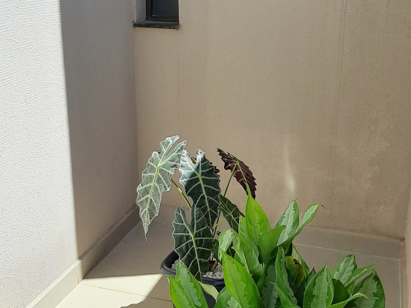 Casa à venda Centro com 200m² e 3 quartos por R$ 700.000 - 955966678-20210313-113848.jpg