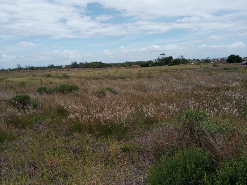 Terreno à venda Centro com 300m² e 1 quarto por R$ 36.000 - 1293006905-20210104-122226.jpg