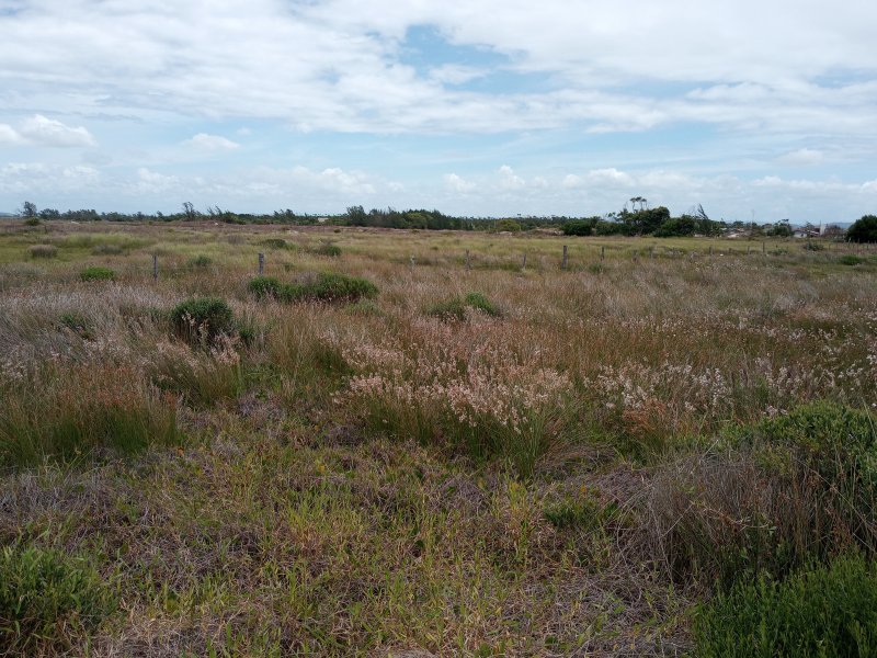Terreno à venda Centro com 300m² e 1 quarto por R$ 36.000 - 735684005-20210104-122232.jpg