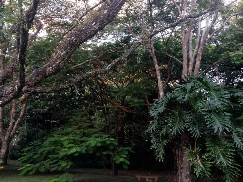 Chácara à venda Vale das Laranjeiras com 728m² e 8 quartos por R$ 2.500.000 - 1229362169-whatsapp-image-2020-11-06-at-08.jpeg