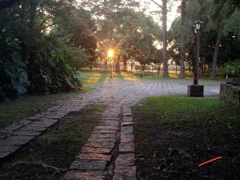 Chácara à venda Vale das Laranjeiras com 728m² e 8 quartos por R$ 2.500.000 - 163128801-whatsapp-image-2020-11-06-at-08.jpeg