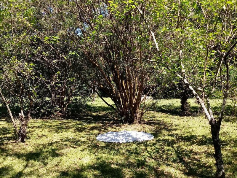 Chácara à venda Vale das Laranjeiras com 728m² e 8 quartos por R$ 2.500.000 - 6403652-whatsapp-image-2020-11-06-at-08.jpeg