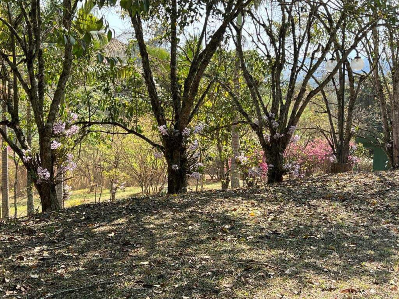 Chácara à venda Jardim Nova Terra (Nova Veneza) com 9700m² e 3 quartos por R$ 850.000 - 1084719959-img-5626.jpeg