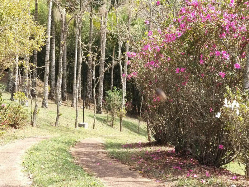 Chácara à venda Jardim Nova Terra (Nova Veneza) com 9700m² e 3 quartos por R$ 850.000 - 834072958-img-5655.jpeg