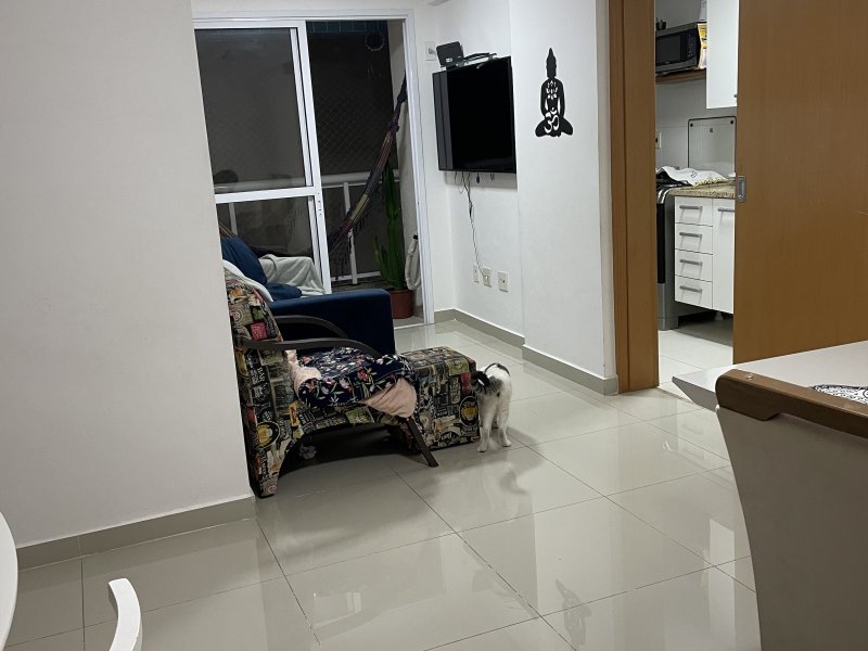 Apartamento para alugar Vila Isabel com 65m² e 2 quartos por R$ 2.000 - 1207435886-8643d8ea-1597-4348-b0a9-0b533c71866b.jpeg