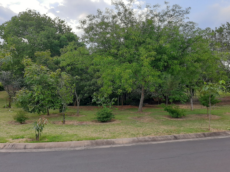 Casa de condomínio à venda Village Moutonnée com 123m² e 3 quartos por R$ 850.000 - 754219288-20221106-171300.jpg