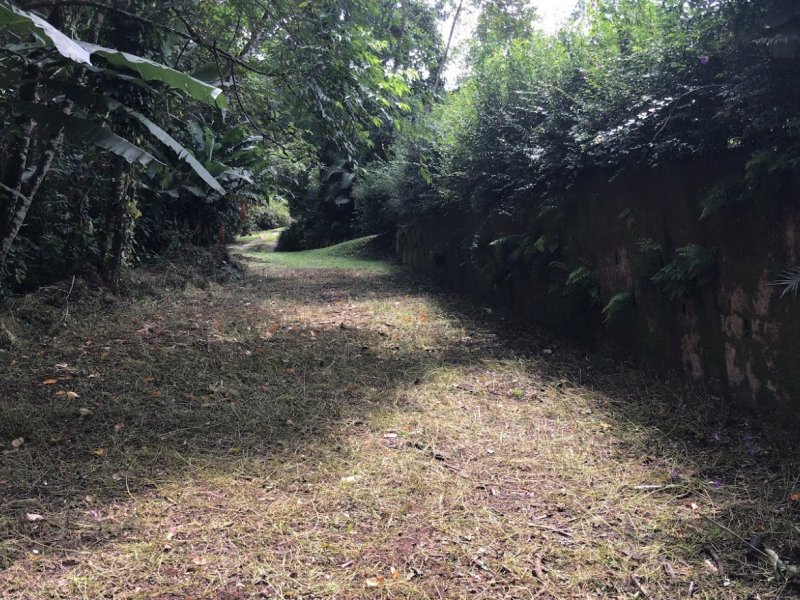 Chácara à venda Parque Santa Amelia com 4000m² e 4 quartos por R$ 980.000 - 1886896931-9.jpg