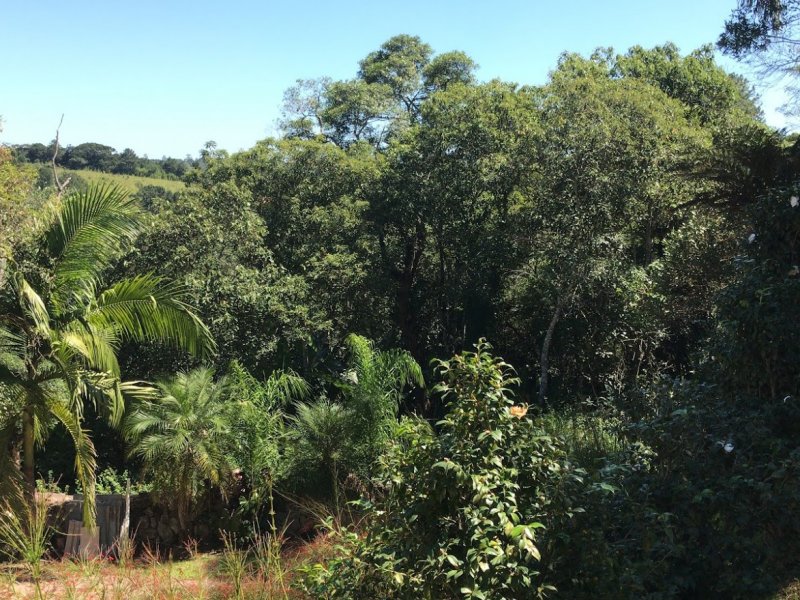 Chácara à venda Parque Santa Amelia com 4000m² e 4 quartos por R$ 980.000 - 1959718895-2.jpg