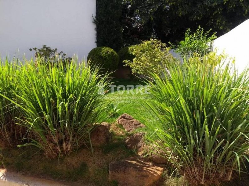 imóvel com 260m² - Jardim Chapadão - Campinas