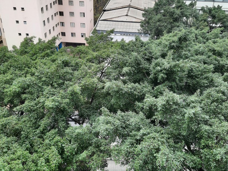 imóvel com 50m² - Bela Vista - São Paulo