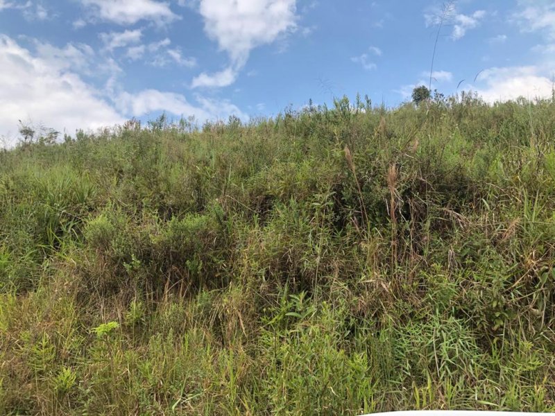 Terreno à venda Chácaras São Luís com 5040m² e 1 quarto por R$ 1.000.000 - 917879268-whatsapp-image-2021-04-28-at-11.jpeg