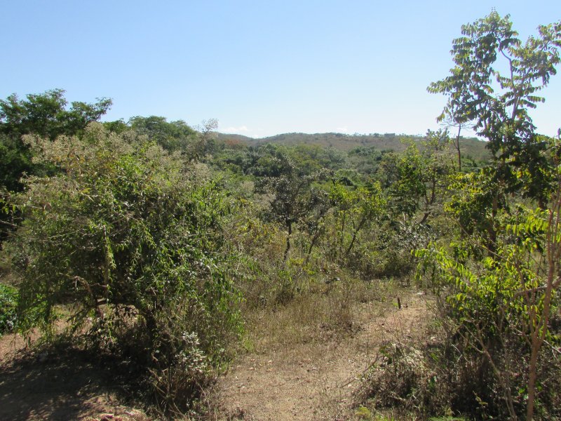 Terreno à venda Altiplano Leste com 2500m² e 1 quarto por R$ 160.000 - 1214620929-img-3075.JPG