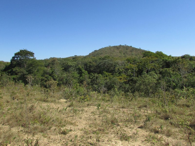 Terreno à venda Altiplano Leste com 2500m² e 1 quarto por R$ 160.000 - 259440416-img-3085.JPG