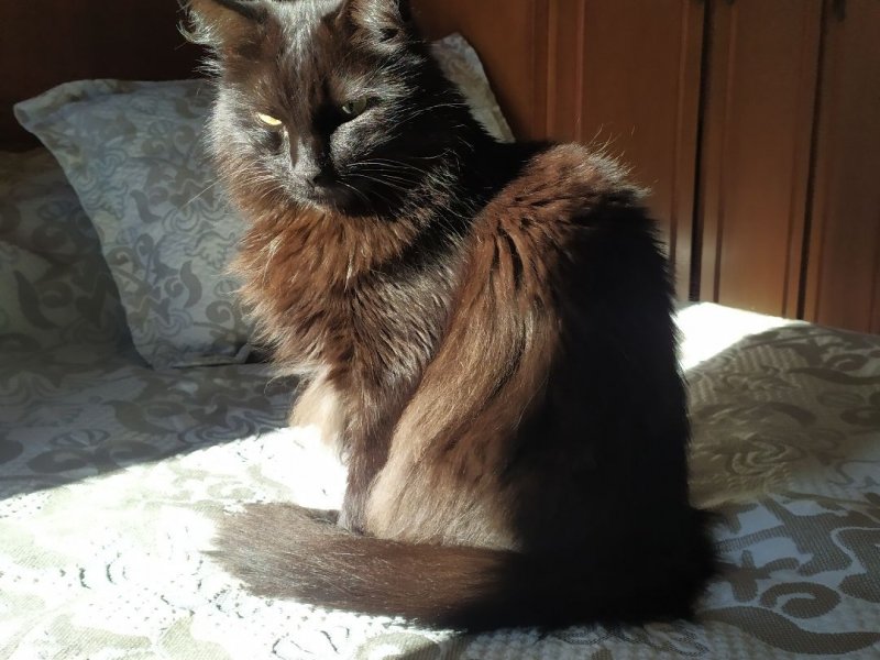 Apartamento à venda Suiço com 67m² e 2 quartos por R$ 235.000 - 354282676-inbound3095976457917547928.jpg