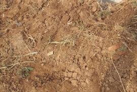 Terreno à venda Vargas com 144m² - 1 dormitório -  vagas - R$ 70.000 - 1102890944-inbound4962419235816725509.jpg