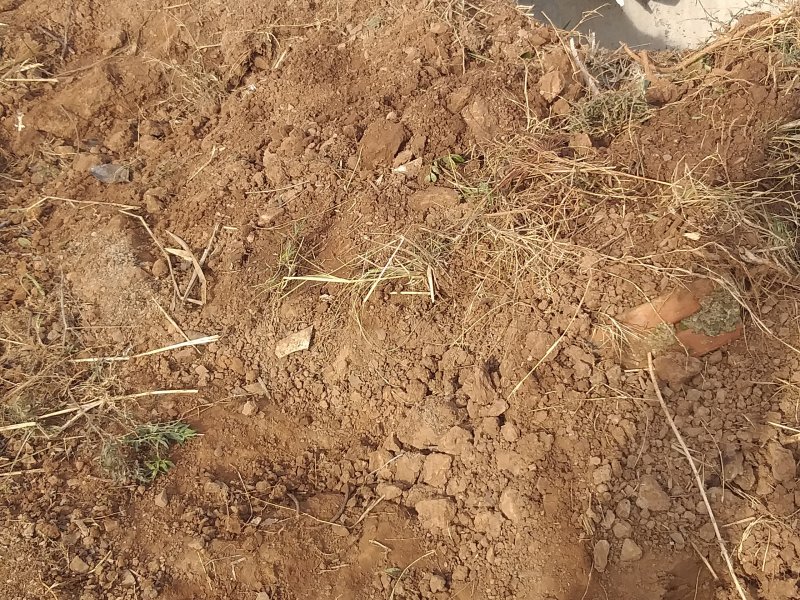 Terreno à venda Vargas com 144m² e 1 quarto por R$ 70.000 - 1102890944-inbound4962419235816725509.jpg