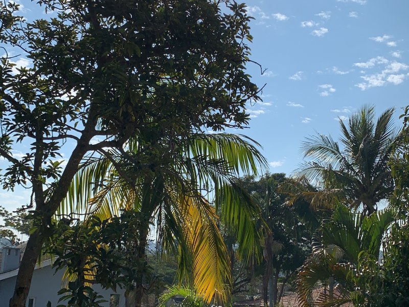 imóvel com 1000m² - Condomínio Estância Marambaia - Vinhedo
