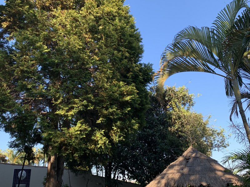 imóvel com 1000m² - Condomínio Estância Marambaia - Vinhedo