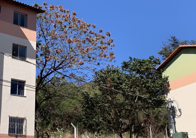 imóvel com 45m²