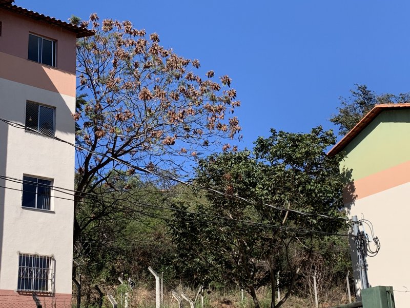 imóvel com 45m² - Vitoria - Belo Horizonte