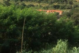 Chácara à venda Terras da Capela de Santo Antonio com 905m² - 3 dormitórios -  vagas - R$ 150.000 - 1468691171-3bb229a4-fe2a-4e3a-8bf4-86001d380425.jpeg