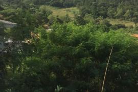 Chácara à venda Terras da Capela de Santo Antonio com 905m² - 3 dormitórios -  vagas - R$ 150.000 - 449106524-5ca19df6-5528-4f2e-bbfd-ed0f71412960.jpeg