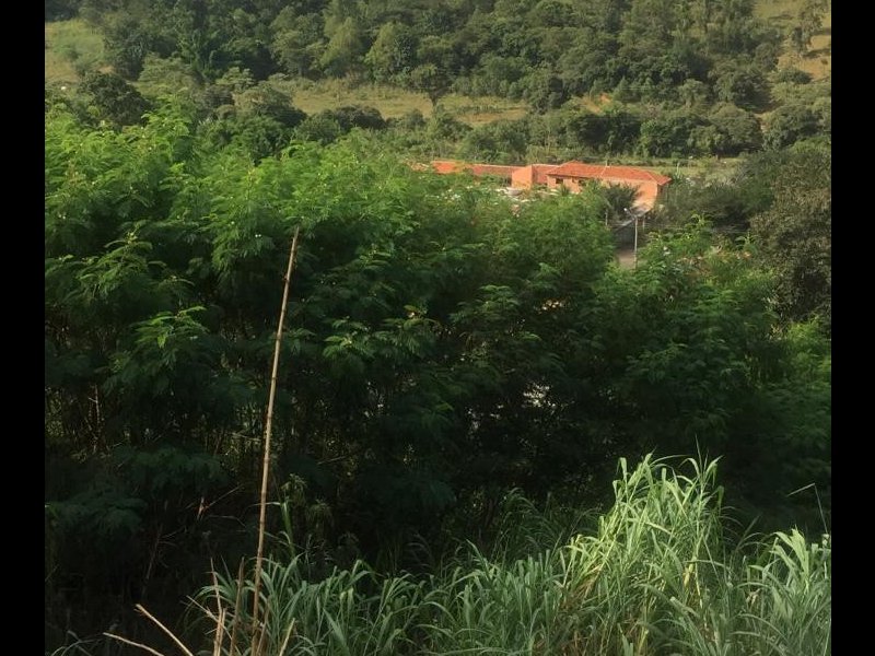 Chácara à venda Terras da Capela de Santo Antonio com 905m² e 3 quartos por R$ 150.000 - 1468691171-3bb229a4-fe2a-4e3a-8bf4-86001d380425.jpeg