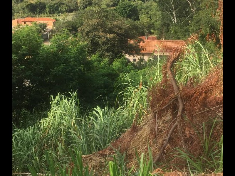 Chácara à venda Terras da Capela de Santo Antonio com 905m² e 3 quartos por R$ 150.000 - 29051227-b697709d-c015-4c1d-9f9e-7300057f9686.jpeg