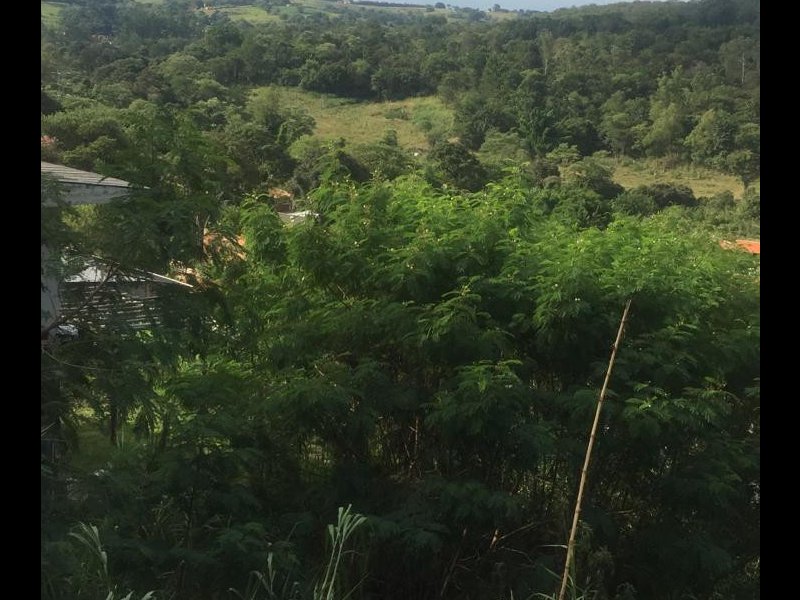 Chácara à venda Terras da Capela de Santo Antonio com 905m² e 3 quartos por R$ 150.000 - 449106524-5ca19df6-5528-4f2e-bbfd-ed0f71412960.jpeg