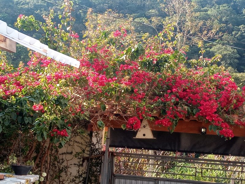 Chácara à venda Mato Dentro com 500m² e 2 quartos por R$ 350.000 - 1163256551-inbound4874457565335322556.jpg