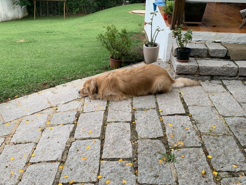 Casa de condomínio à venda São Bento do Recreio com 200m² e 4 quartos por R$ 1.000.000 - 329521497-223f63fc-b0d9-48e9-a8cb-16220a84ff2c.jpeg