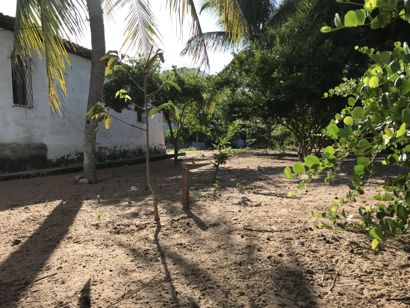 Chácara à venda Planalto com 180m² e 5 quartos por R$ 1.000.000 - img-5144.jpeg