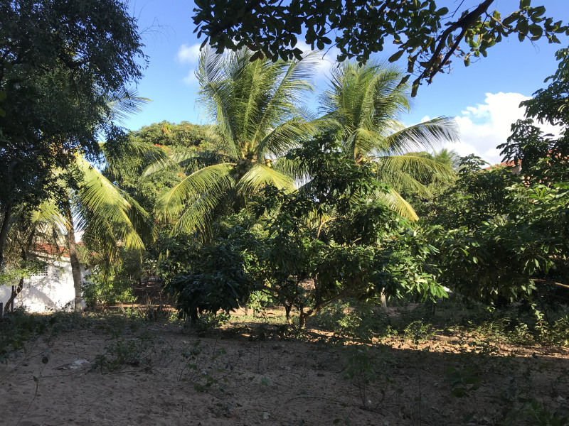 Chácara à venda Planalto com 180m² e 5 quartos por R$ 1.000.000 - img-5198.jpeg