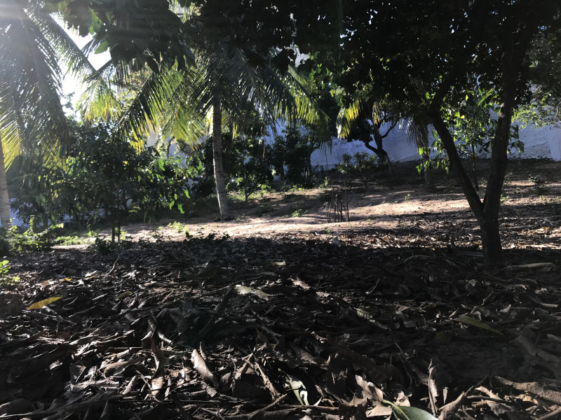 Chácara à venda Planalto com 180m² e 5 quartos por R$ 1.000.000 - img-5211.jpeg