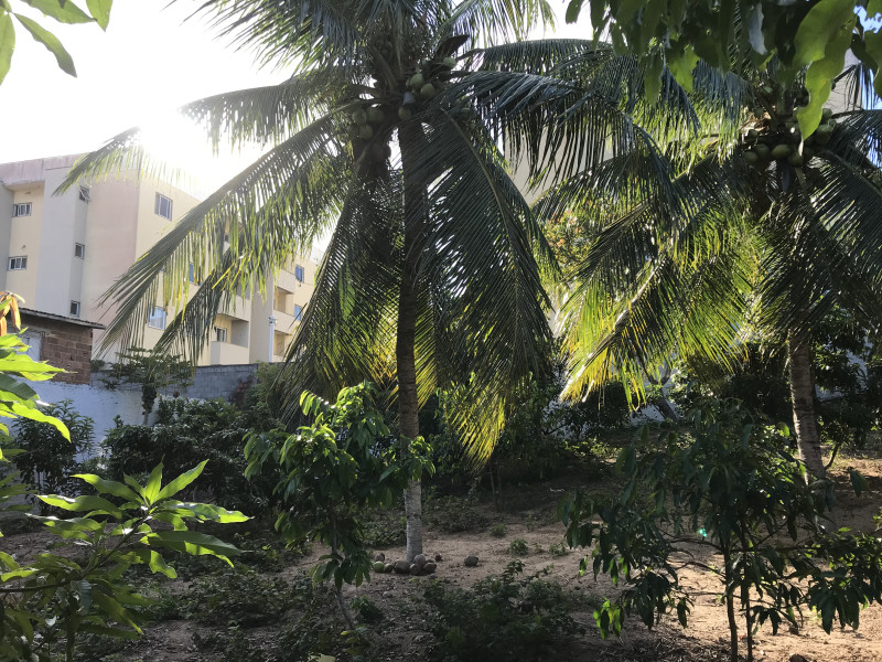 Chácara à venda Planalto com 180m² e 5 quartos por R$ 1.000.000 - img-5236.jpeg