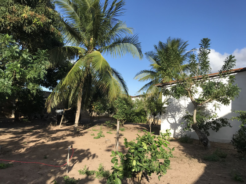 Chácara à venda Planalto com 180m² e 5 quartos por R$ 1.000.000 - img-5255.jpeg