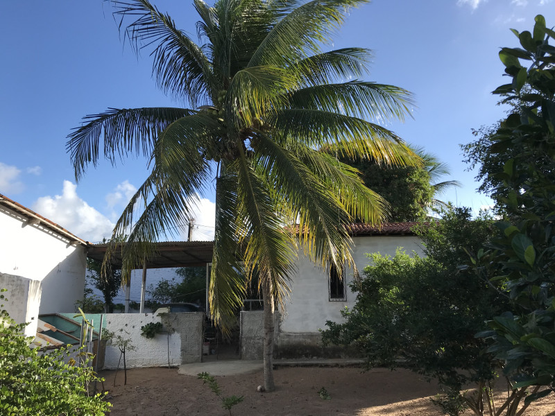 Chácara à venda Planalto com 180m² e 5 quartos por R$ 1.000.000 - img-5267.jpeg